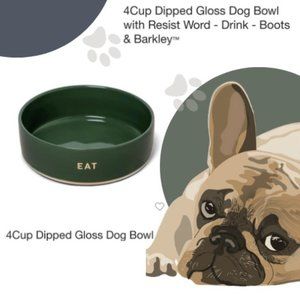 Pet Bowls - M / 4 CUPS - Like new